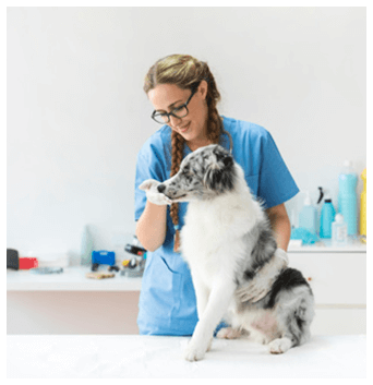 Foto del veterinario con perro
